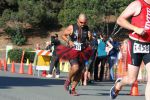 Mission Bay Triathlon